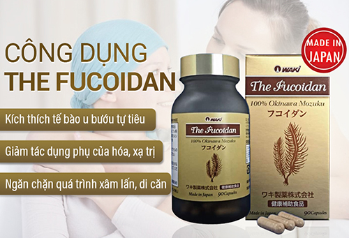 Viên Uống Hỗ Trợ Điều Trị Ung Thư Waki The Fucoidan