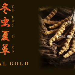 Đông Trùng Hạ Thảo Tohchukasou Royal Gold